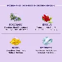 516y1rWqQ1L._SL1000_.webp